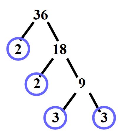 Scomposizione in fattori primi del 36