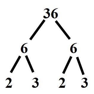 Scomposizione in fattori primi del 36