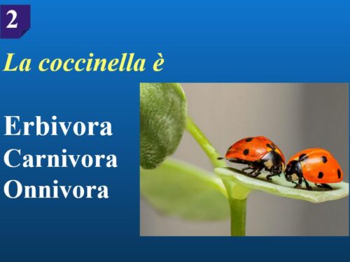 Questionario sull’alimentazione degli animali