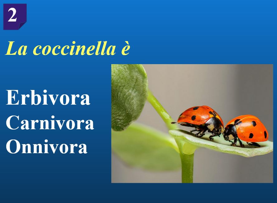 Questionario sull’alimentazione degli animali