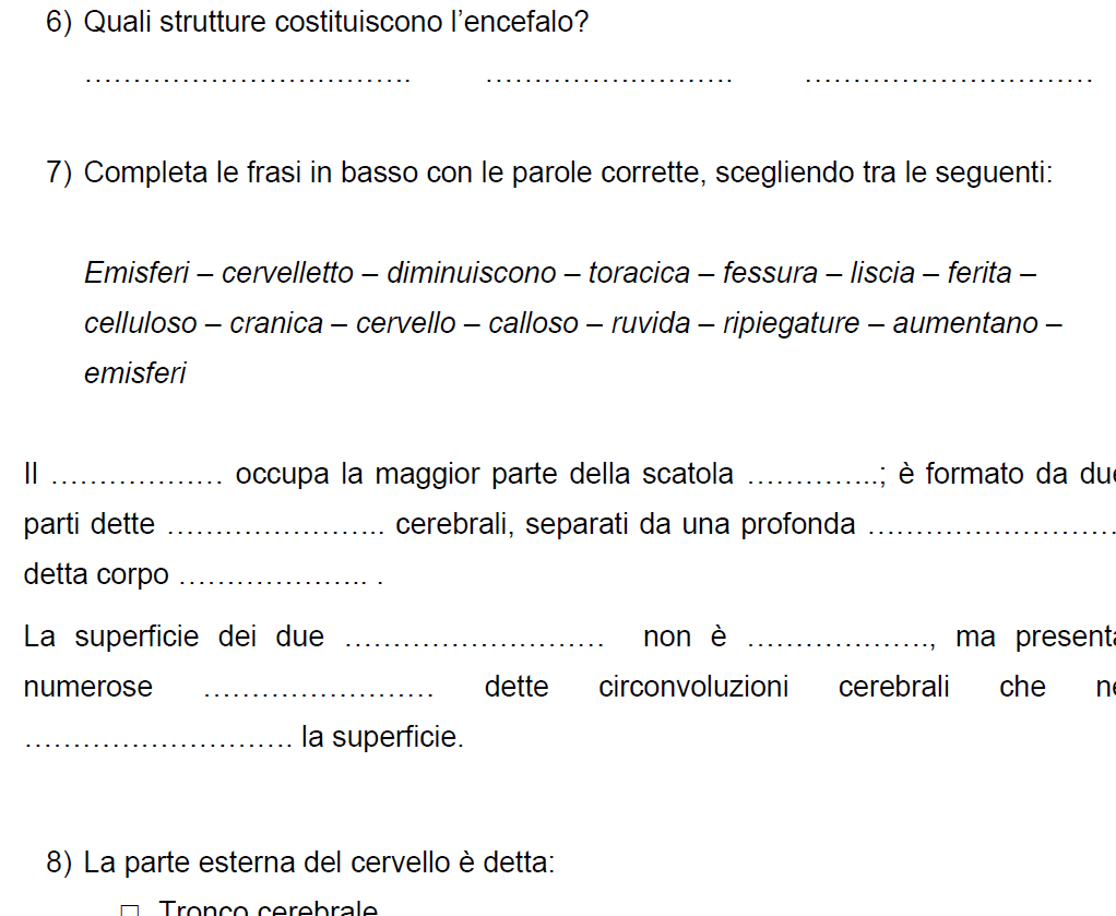 Verifica sul sistema nervoso